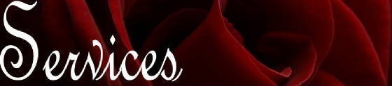 rrtbackround-services.jpg